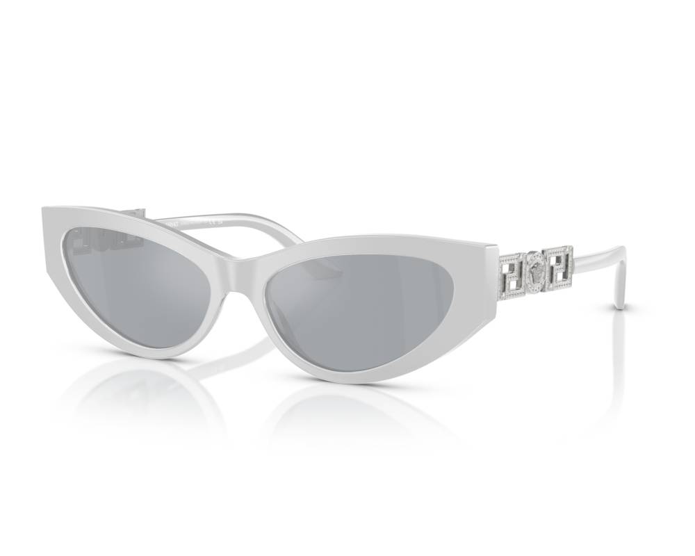 Versace Versace VE4470B 54741U 56-16 Gris  autre vue