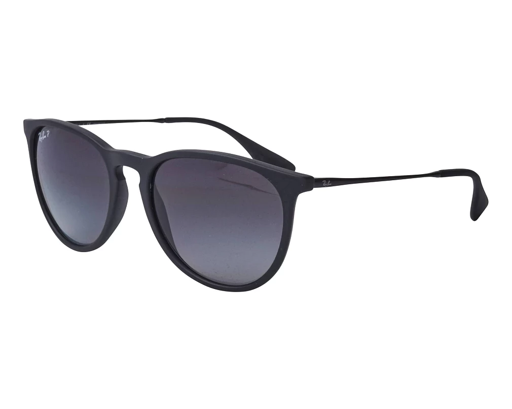 Ray-Ban Erika Polarized Matte Black Sunglasses